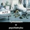 Tymczasem w psychiatryky 