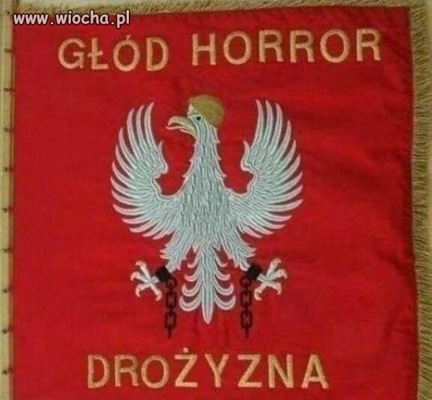 Nowy sztandar PiS