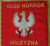 Nowy sztandar PiS