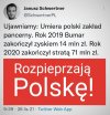 Polska ruina 
