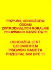 Polska tylko dla Polaków? Europa biała albo żadna? 