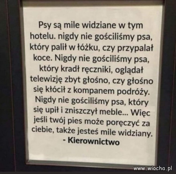 Kiedy 'zejść na psy' nabiera nowego znaczenia   