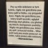 Kiedy 'zejść na psy' nabiera nowego znaczenia   