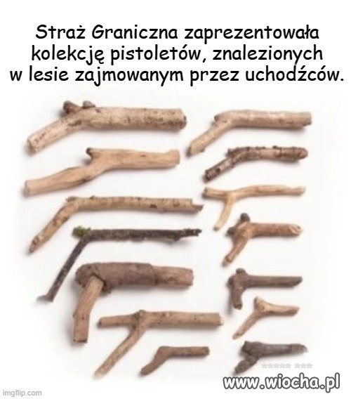 W lasach tego pełno...