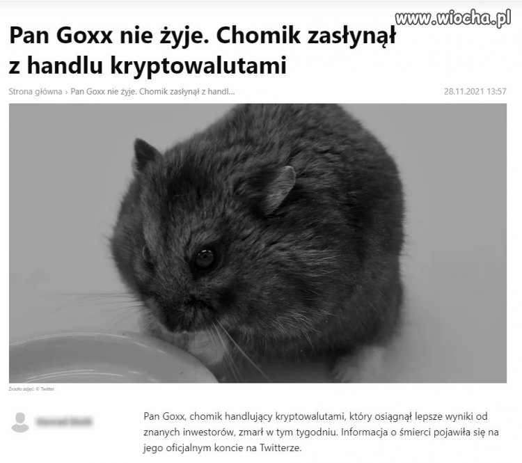 Nie żyje chomik handlujący kryptowalutami