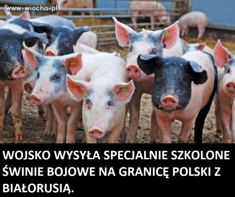 Trzeba było tak od razu