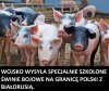 Trzeba było tak od razu