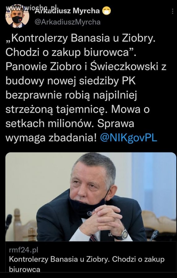 Tłuste koty