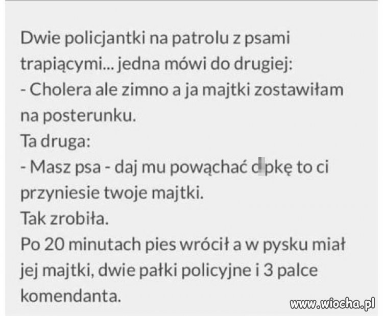 Dobrze wytresowany 