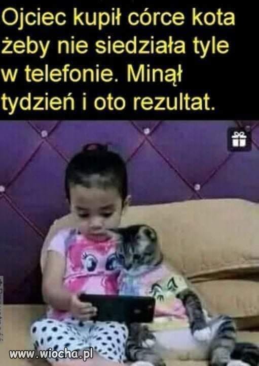 Kot też nieźle