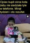 Kot też nieźle
