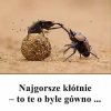 Oglądałem obrady Sejmu...