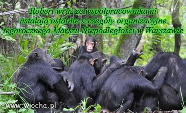 Tegoroczną relację z marszu