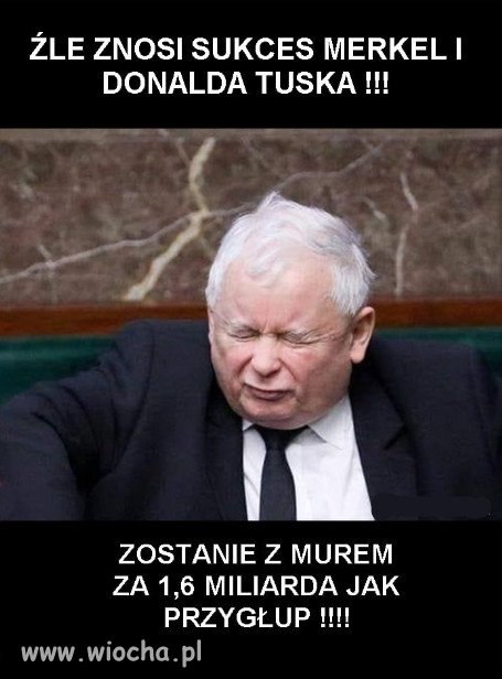  Król zaścianka!