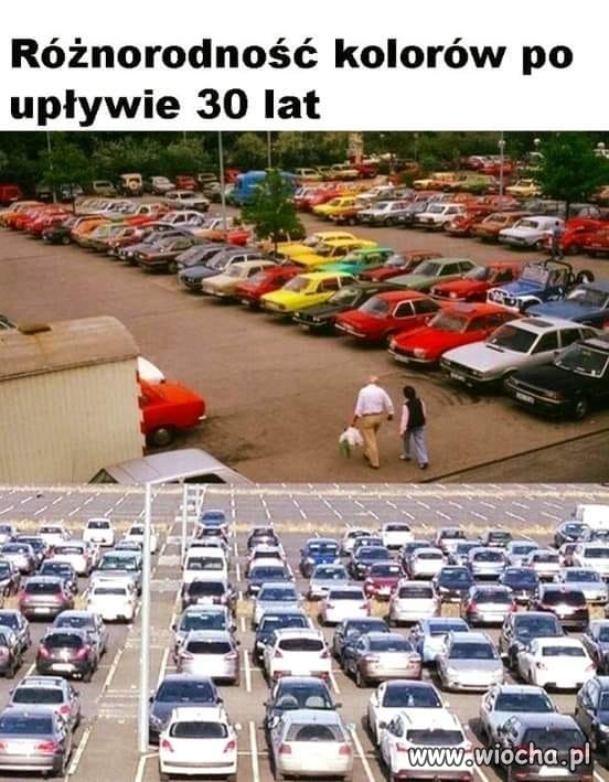 Wszystko bezbarwne