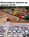 Wszystko bezbarwne