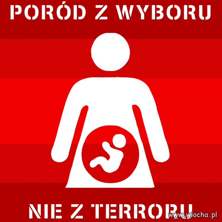 Tylko to tu zostawię