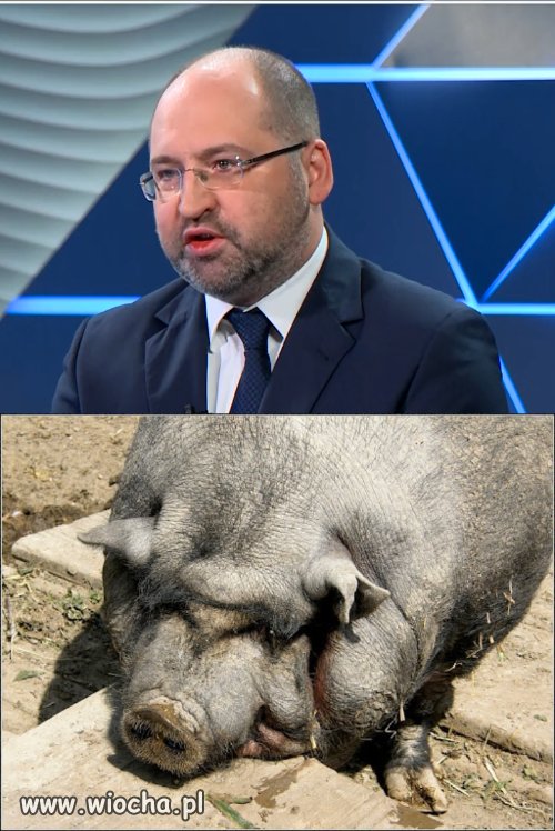 Wszelkie podobieństwa są przypadkowe 