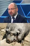 Wszelkie podobieństwa są przypadkowe 