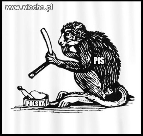 Tak to wygląda