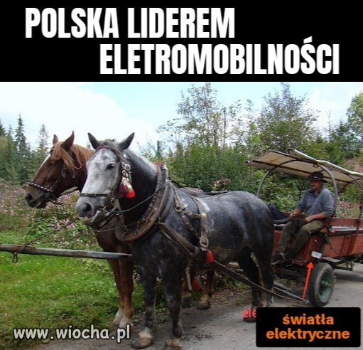 Kolejny sukces