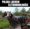 Kolejny sukces