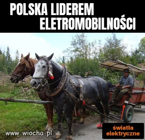 Kolejny sukces