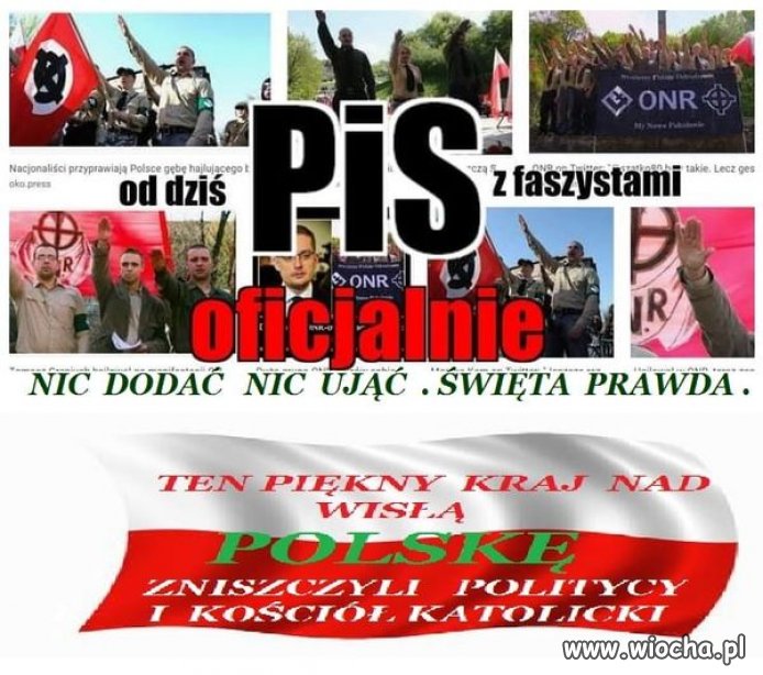 Pis i jego pieski