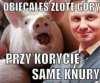 Koryto się
