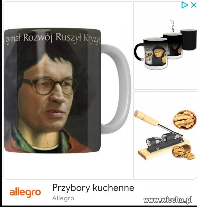 Znalezione 