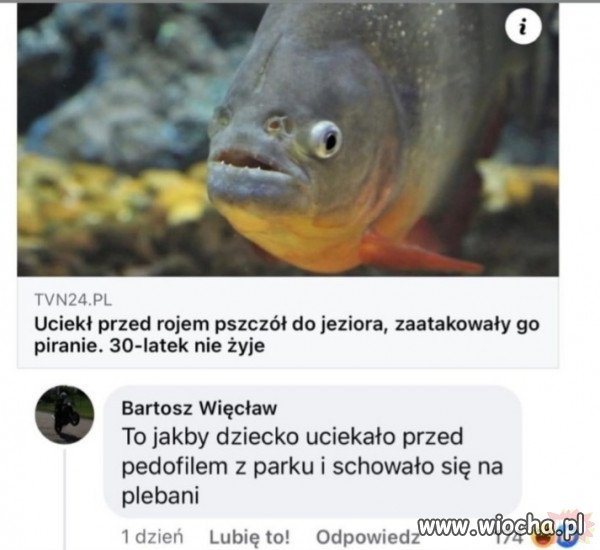 Fakt.