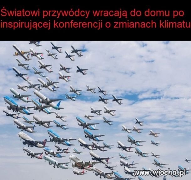 Ekościema