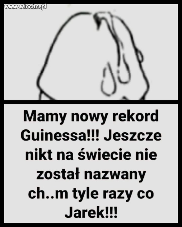 Rekord