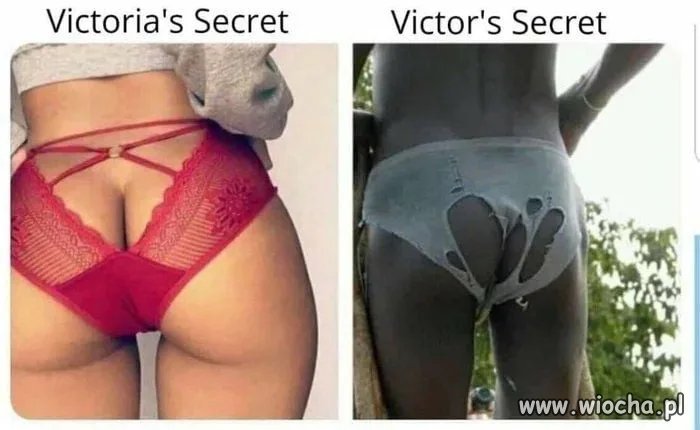 Moda 