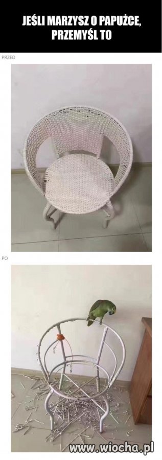 Dwa razy się zastanów