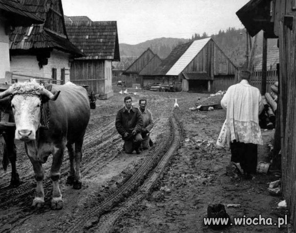 Te czasy juz nie wroca ,Czarnek pracuje