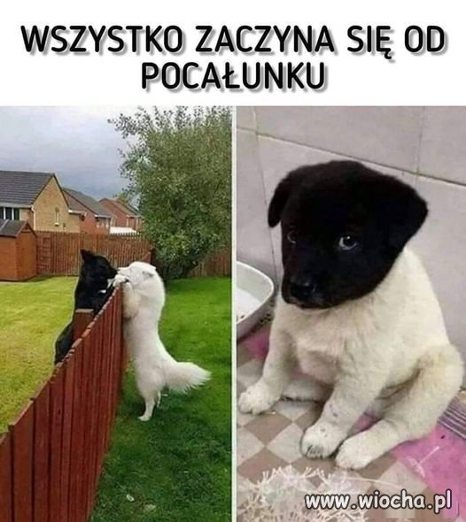 Jak to 