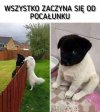 Jak to 