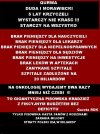 WYSTARCZY NIE KRAŚĆ!!! - tak kłamał PiS...