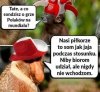Nic się nie stało