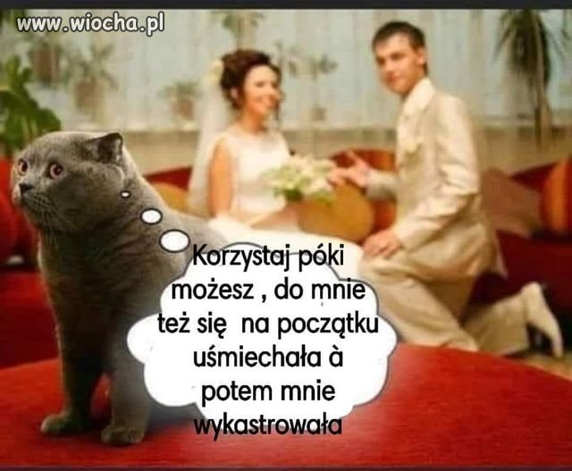 Wykastrować można również