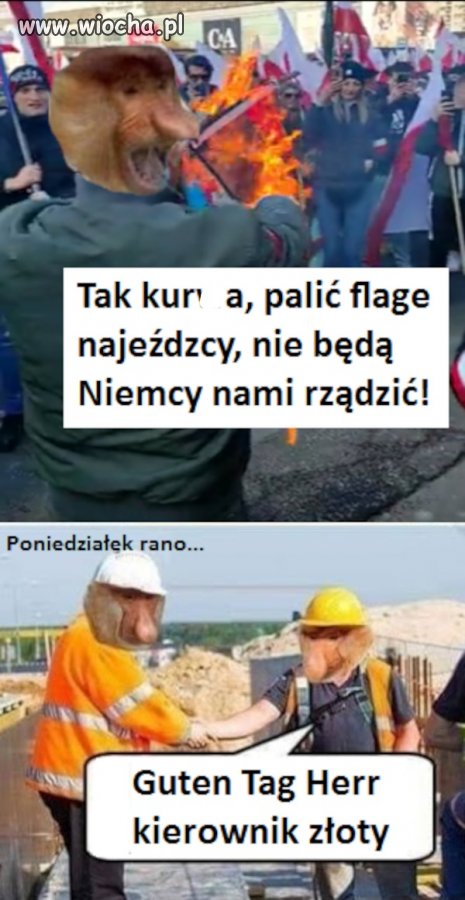 Patriota 