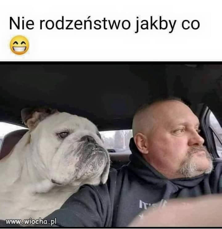 Ale się 