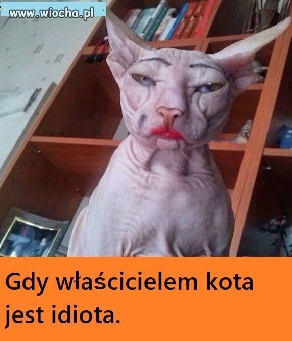 Zapewne właścicielka