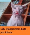 Zapewne właścicielka