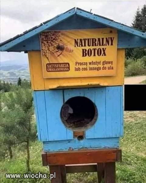 Czysta natura 