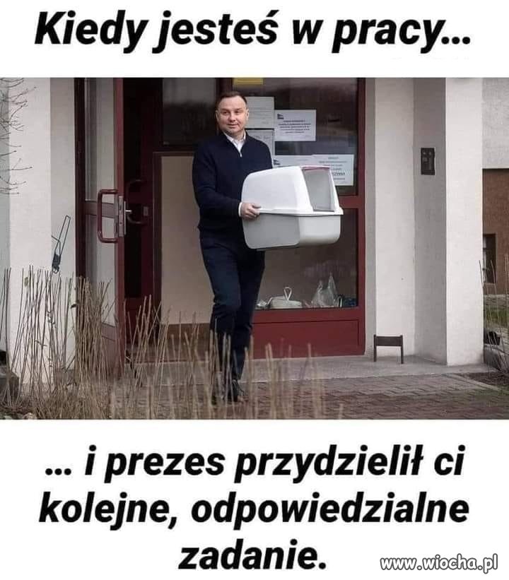 Pan każe
