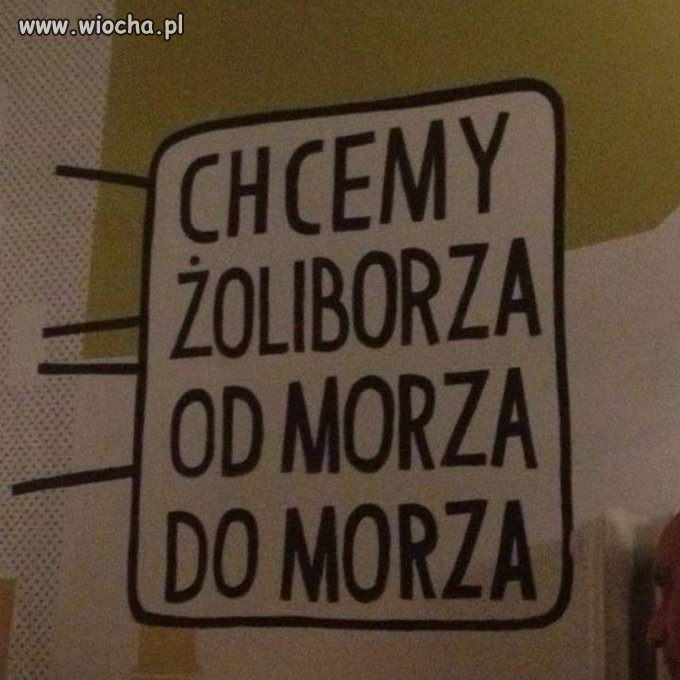 Wielka Wolska! 