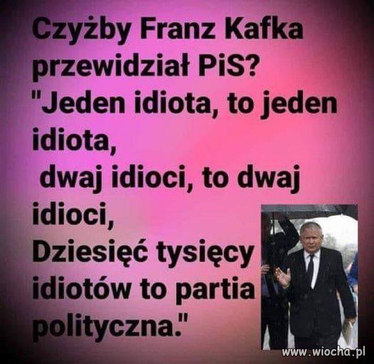 Prorok ...