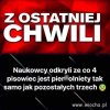 Naukowcy odkryli że...